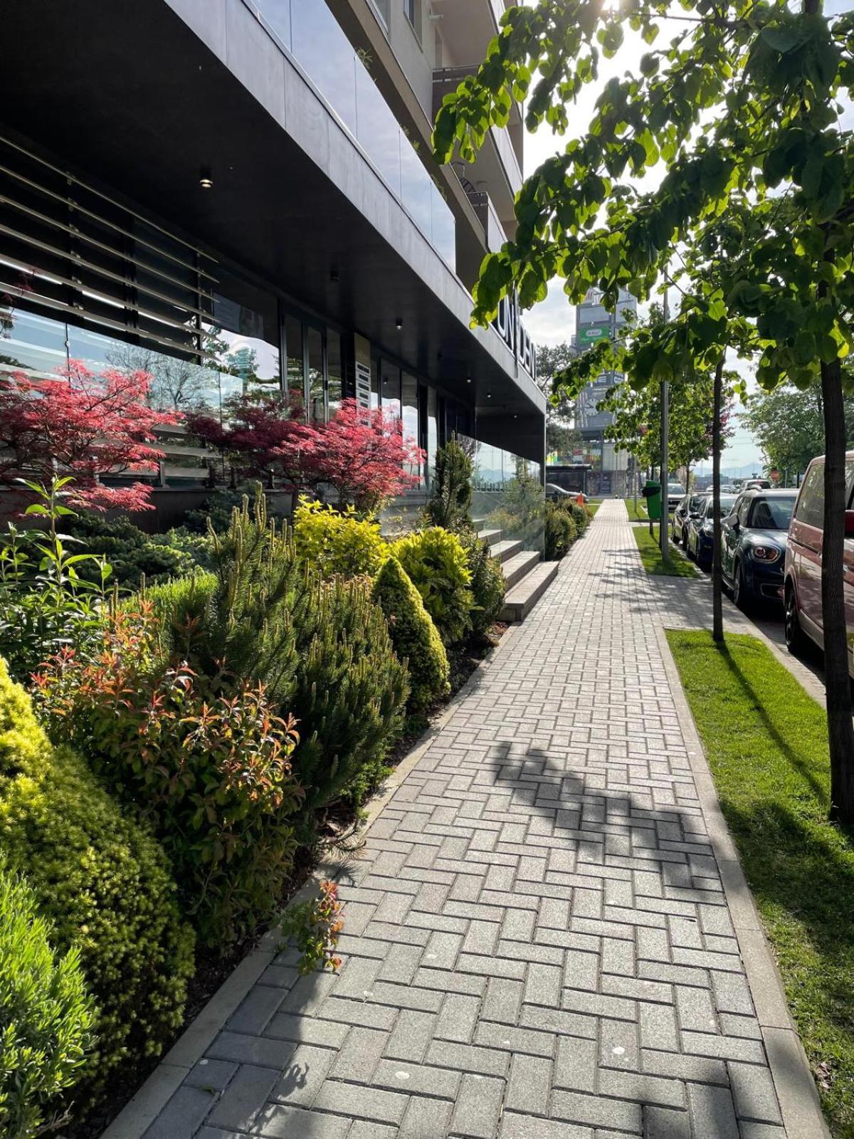 Alto Studio & Free Private Parking Braşov Eksteriør bilde