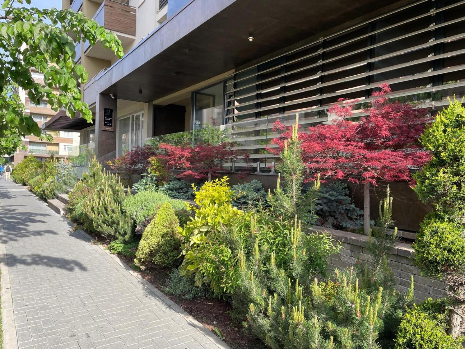 Alto Studio & Free Private Parking Braşov Eksteriør bilde